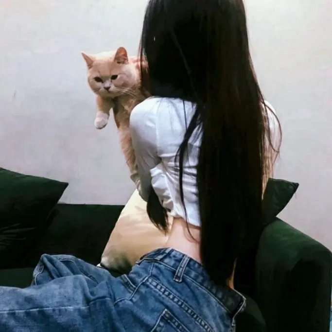 白猩猩历险记